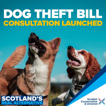 Dog Theft Bill 